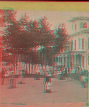 Catskill House, Lake George. [1860?-1895?]