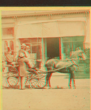 [Group in a buggy on a city street.] 1860?-1869?