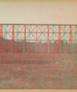 Section of Trestle Bridge on the New York, Boston & Montreal  Railway, at East Tarry Town, N.Y. [ca. 1873] [1865?-1915?]