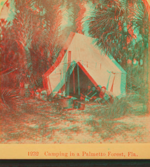 Camping in Palmetto Forest, Florida. 1870?-1905? [189-?]