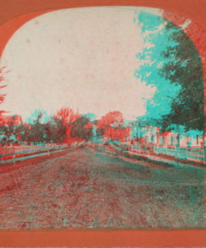 [View of a street.] [1866?-1900?]