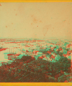 Gloucester harbor. 1863?-1910?