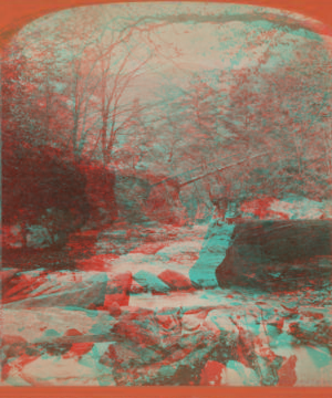 In the Ravines, above Bastion Falls. [1865?-1885?]