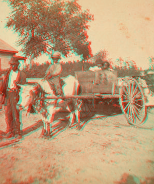 [Man and children with ox-pulled wagon.] [ca. 1865]