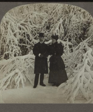 Spending their honeymoon at Niagara. 1860?-1905