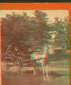 [A buggy driver.] 1869?-1880?