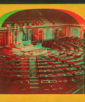 The House of Representatives. 1865?-1875? 1865-1875