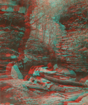 Cavern Gorge looking down, Havana Glen. 1865?-1905?