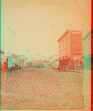 Bay Street, Eustis, Florida. 1870?-1895? [ca. 1880]