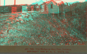 The Bridge at May Pen, Jamaica. 1904