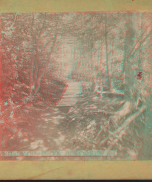 Rustic Walk, Annin's Grove, Caledonia, N.Y. [1858?]-1891