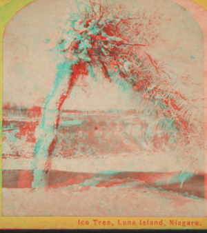 Ice tree, Luna Island, Niagara. [1860?-1885?]