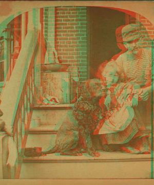 This is the famous dog ëRomeyí owned by the Kress family of Johnstown. 1889