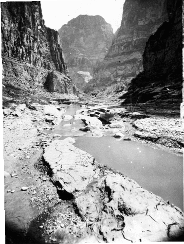 Kanab Canyon, near mouth. Cliffs in the distance right and left are on the other side of the Colorado River.