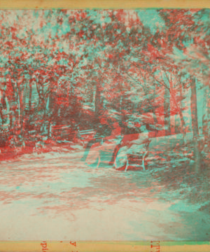 [View in Central Park.] [1859?-1895?]