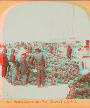 Sponge Market, Key West Harbor, Fla. 1860?-1900?