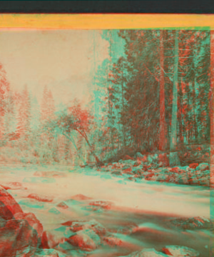 Yosemite Studies. 1868-1873