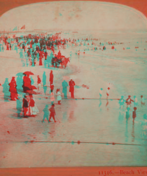 Beach view. [1865?]-1919