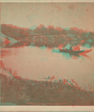 View on the lake, Central Park, N.Y. [1865?-1905?]