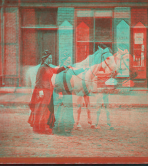 A woman and a horse at Putnam. 1865?-1895?