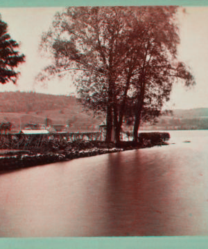 [Otsego Lake.] 1865?-1880?