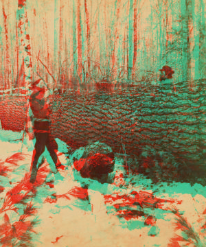 [Men sawing at the lumber camp.] 1870?-1880?