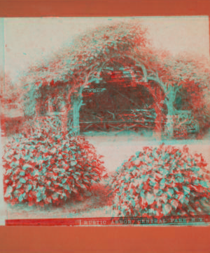 Rustic arbor, Central Park, N.Y. 1860?-1905?