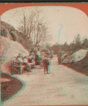 Group in Central Park. [1859?-1895?]