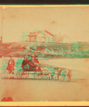 [Children in goat cart on beach.] 1860?-1869?