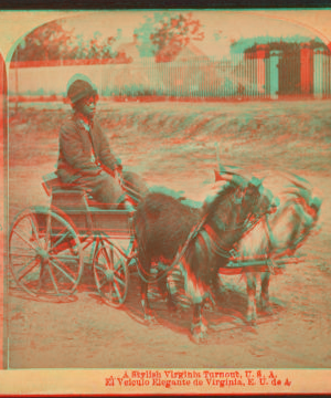 A stylish Virginia turnout, [showing African American boy in goat cart]. 1865?-1896?