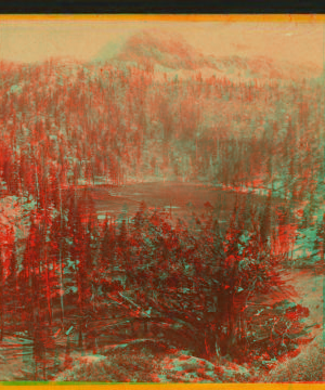 Summit of the western ridge of the Sierras, on the Big Tree and Carson Valley Road looking south. 1864?-1905? ca. 1880