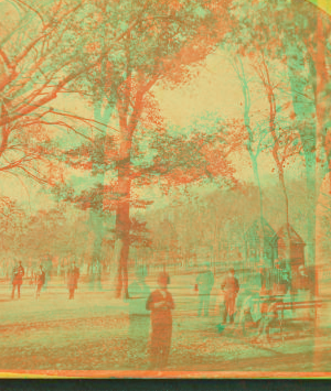 [View of people in Boston Common.] 1860?-1890?