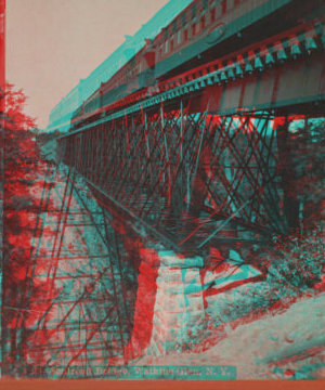 Railroad bridge, Watkins Glen, N.Y. [1865?-1905?]