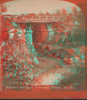 Rustic Bridge, Central Park, N.Y. [1860?-1900?]