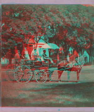 [Horse drawn coach, driver shaded with an umbrella.] 187- 1865?-1890?