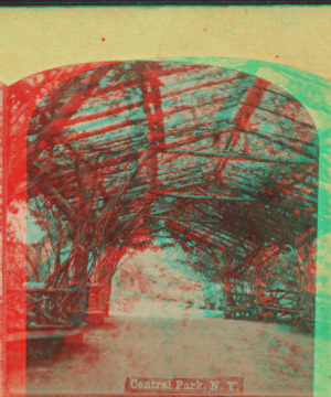 Central Park, N.Y. [Rustic arbor, interior.] 1860?-1905?