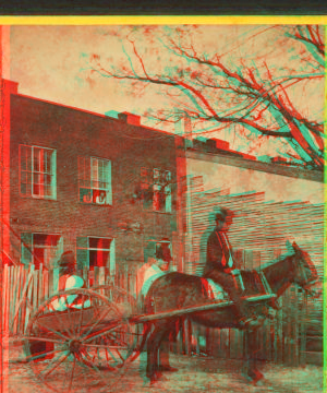 Mule cart. 1870?-1885? 1870-1885?