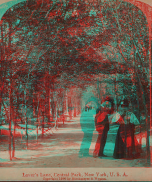 Lovers' Lane, Central Park, New York, U.S.A. c1896 [1859?-1895?]