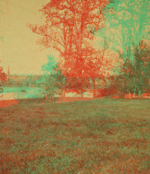 [View of trees and the river with city beyond.] 1865?-1880?