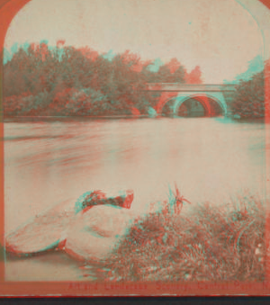 Arch bridge. [1865?-1905?]