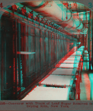 Conveyor with trays of loaf sugar received from drying kiln, New York. [1862?-1915?]