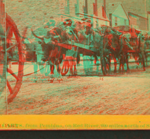 Ox carts, from Pembina, on Red river, 600 miles north of St. Paul. 1862?-1875?