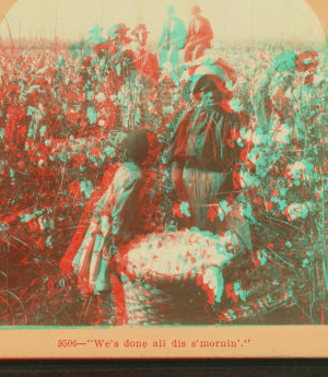 "We'se done all dis's Mornin'." Picking cotton on a Mississippi plantation. 1868?-1900?