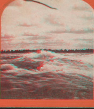 [View of the Rapids at Niagara.] [1860?-1875?]