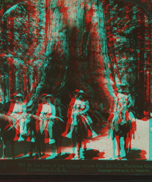 At the base of the Grizzly Giant (cir. 106 ft), Mariposa Grove, California., U.S.A. 1900?-1905?