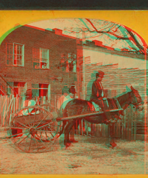 [View of a man in mule cart in front of a home.] 1867?-1895? 1875