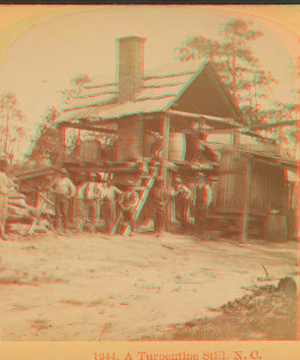 A turpentine still, N.C. 1865?-1903