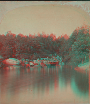 Rustic Bridge, Central Park. [1860?-1900?]