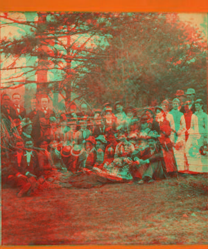 [Group of men and women posing under the trees.] 1881 1869?-1880?