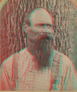 [Portrait of a beared man.] [1860?-1880?]